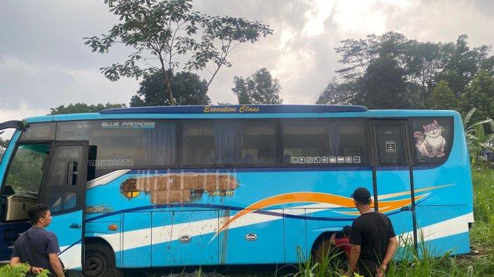 BUS MASUK KEBUN: Kecelakaan bus pariwisata di Jalan Lingkar Selatan (JLS) Salatiga, tepatnya di Simpang Empat Kumpulrejo, Sabtu (31/5/2025). Bus tersebut keluar jalur dan masuk ke area kebun setelah diduga mengalami rem blong. (DOK. POLRES SALATIGA)