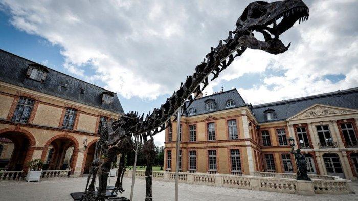 Kerangka atau fosil dinosaurus Apatosaurus yang diberi nama Vulcain, yang dipajang di kastil Dampierre sebelum dilelang di Dampierre-en-Yvelines, sebelah selatan Paris, pada 10 Juli 2024.