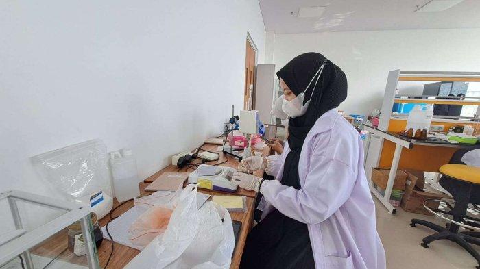 Keren! Mahasiswa Unsoed Olah Buah Mangrove menjadi Tablet Effervescent Tanpa Pemanis Buatan huum