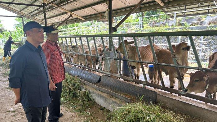 Ketua DPRD Jateng Sumanto saat mengunjungi Satker Taman Ternak Sumberejo, Kabupaten Kendal, belum lama ini.