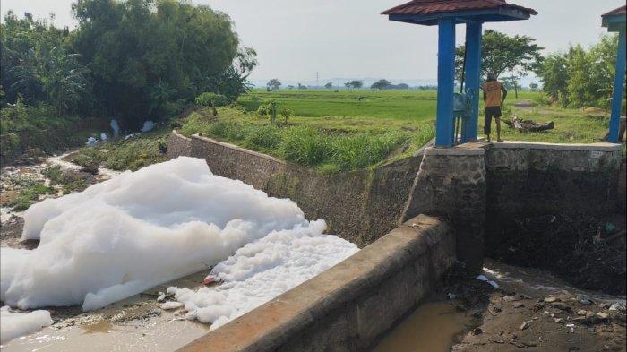 Kondisi sungai di dekat Bendung Bibis, Kecamatan Margorejo, Pati, yang dipenuhi busa, Senin (13/1/2025) pagi.