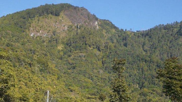 Kondisi terkini lereng Gunung Telomoyo pada Kamis (19/9/2024) seusai kebakaran pada Rabu (18/9/2024) malam.