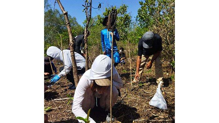 MAHASISWA UNSOED PURWOKERTO TANAM MANGROVE BARENG MAHASISWA JEPANG