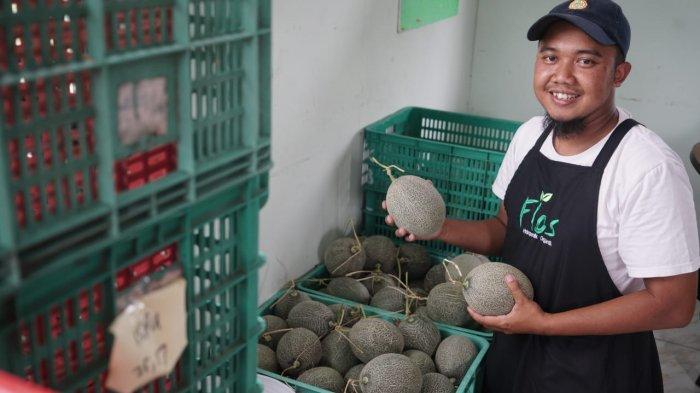 MELON PREMIUM - Hendi Nurseto pemilik Flos Hidroponik menunjukkan melon premium yang dibudidayakannya dengan metode hidroponik, Desa Bansari, Kecamatan Bansari, Temanggung, Rabu (23/4/2025). 