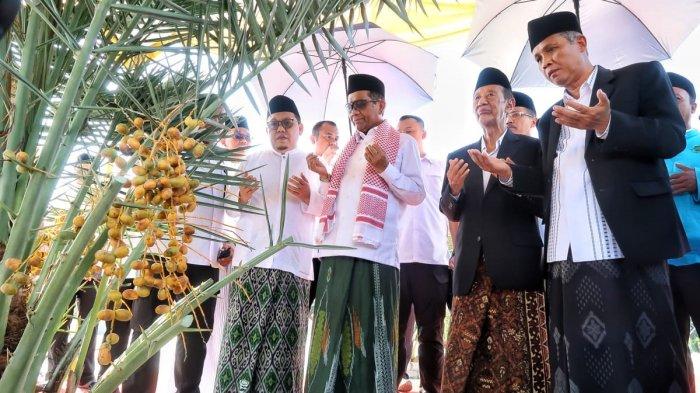 Menteri Koordinator Bidang Politik, Hukum, dan Keamanan (Menkopolhukam) Mahfud MD panen buah kurma di kompleks Masjid Agung Jawa Tengah (MAJT) di Semarang, Kamis (29/6/2023).