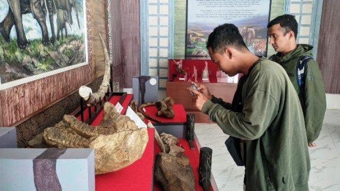 Pengunjung yang mengamati koleksi fosil gading gajah purba di Museum Patiayam Kudus