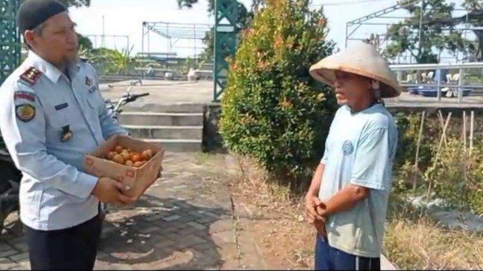 Narapidana di Lapas Terbuka Kendal Sukses Membangun Kemandirian Melalui Keterampilan Budidaya Hortikultura