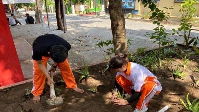 PENUTUPAN KULIAH KERJA NYATA PROGRAM STUDI S-1 FARMASI STIKES TELOGOREJO TAHUN AKADEMIK 2022/2023