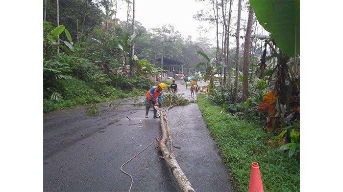 PLN Fokus Keselamatan Warga dan Percepatan Pemulihan Pasokan Listrik Dampak Cuaca Ekstrem Melanda Jateng DIY