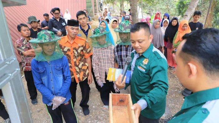 Pelatihan Budidaya Lebah Madu Klanceng yang dimulai Selasa (19/9/2023)