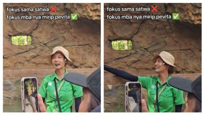 Pemandu hewan di Solo Safari yang mirip dengan artis Pevita Pearce