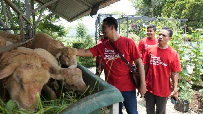Puluhan UMKM, Konten Kreator, hingga Milenials Mitra Belajar Industri Hijau ke Semen Gresik di kawasan Pendopo Joglo Tani dan Edupark Pabrik Rembang, Selasa (27/2).