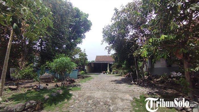 Suasana asri salah satu rumah warga di Dukuh Mao, Desa Jambeyan, Kecamatan Karanganom, Kabupaten Klaten.