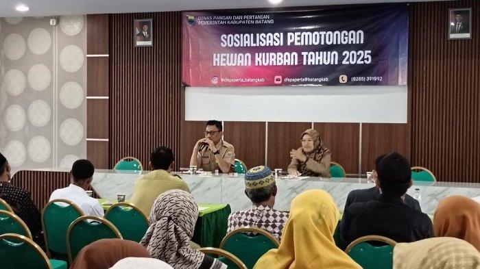 SOSIALIASASI - Dinas Pangan dan Pertanian (Dispaperta) Batang menggelar sosialisasi kepada ahlul qurban di Aula Dispaperta Batang, Senin (26/5/2025).Fokus utamanya adalah memastikan pemilihan hewan kurban sesuai syariat Islam serta mengutamakan pemotongan hewan berjenis kelamin jantan demi menjaga kelangsungan populasi ternak.