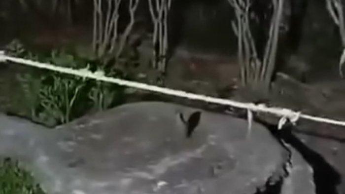 Septic tank tempat ditemukannya jasad perempuan berinisial IM (33) warga Desa Sidaurip, Kecamatan Gandrungmangu, Cilacap. Rabu (13/9) dini hari.