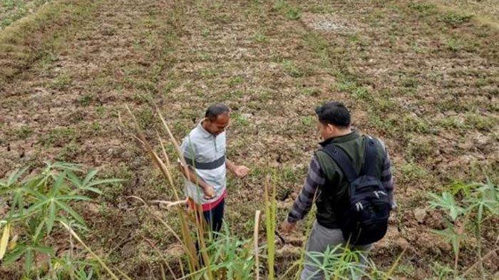 Sosialisasi kepada salah satu petani
