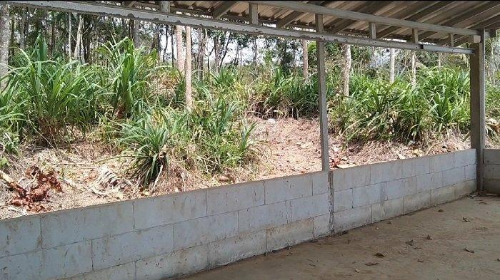 TKP perundungan siswa SMP di Cilacap. Lokasinya berada di sebuah lapangan bola voli yang berada di tengah perkebunan dan jauh dari rumah penduduk.
