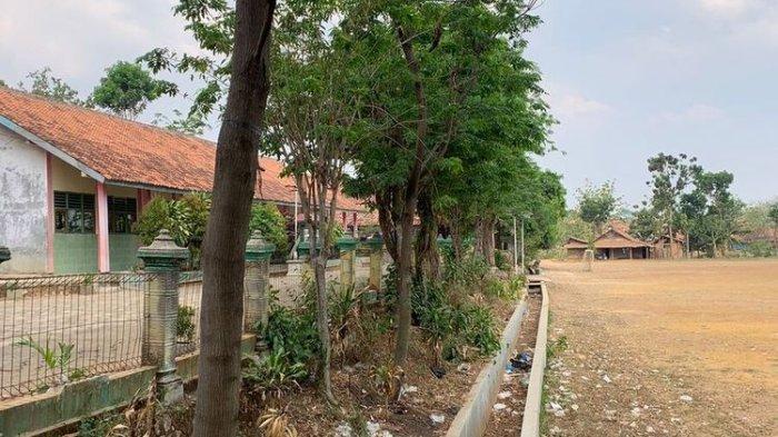 Tanah seluas 1,7 hektar yang diperkarakan di Dusun Sarip, Desa Karangasem, Kecamatan Wirosari, Kabupaten Grobogan, Jawa Tengah, Kamis (30/5/2024).