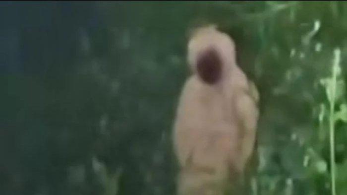 Tangkapan layar diduga penampakan pocong di areal Kuburan Cina Kota Parepare yang viral