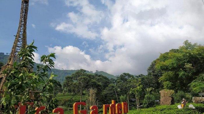 Pengunjung berada di kawasan Tea Garden Desa Kemuning Kecamatan Ngargoyoso Kabupaten Karanganyar, Jawa Timur, Sabtu (11/6/2022). 