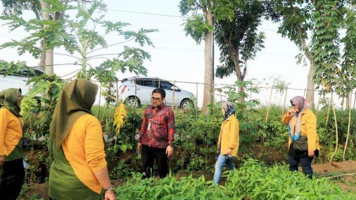 Tiga kelompok mahasiswa Pascasarjana Unsoed , Sabtu (22/6/2024) melakukan praktikuum di Kelompok Wanita Tani (KWT) Aglonema Desa Rabak, Kecamatan Kalimanah, Kabupaten Purbalingga.