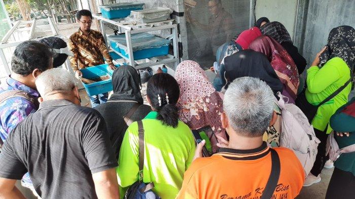 Transformasi Limbah Tahu Warga Sugihmanik Bersama Tim UNDIP!