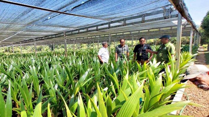 UNSOED Peroleh Bibit Kopi & Kelapa Dari BPSI-TRI Kementerian Pertanian