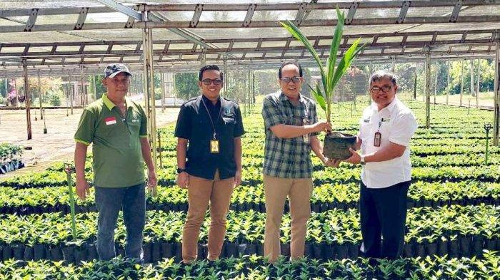 UNSOED Peroleh Bibit Kopi & Kelapa Dari BPSI-TRI Kementerian Pertanian