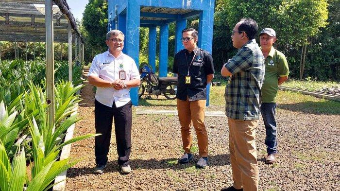 UNSOED Peroleh Bibit Kopi & Kelapa Dari BPSI-TRI Kementerian Pertanian