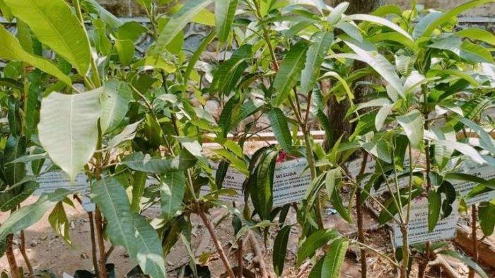 Ucapan menggunakan tanaman