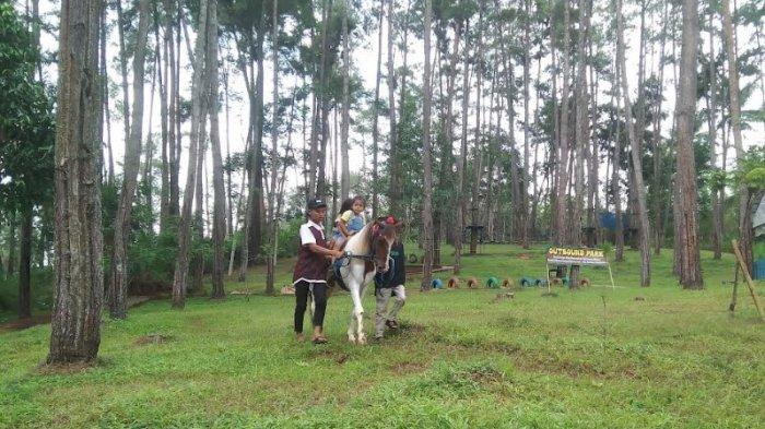 Wahana Dombanimal di Kemit Forest Education yang menyuguhkan wahana memberi makan pada hewan secara langsung.
