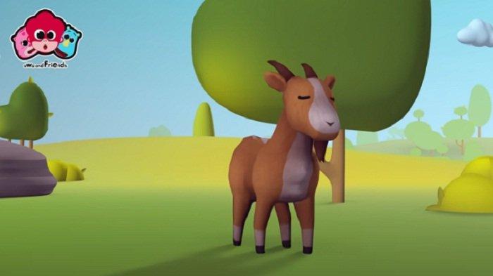 Not Angka Lagu Anak Kambing Saya NTT dan Lirik - Tribunjateng.com