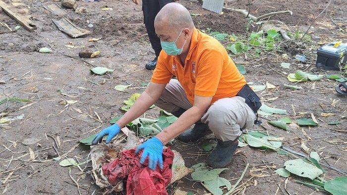 Suasana saat Tim Inafis menemukan satu lagi kerangka ke 6 bayi yang dikubur di Kelurahan Tanjung, Kecamatan Purwokerto Selatan, Kabupaten Banyumas, Rabu (28/6/2023).