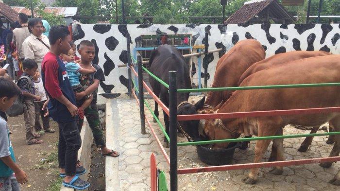 Libur Nataru, Wisata Rodjo Tani Ternak Di Kab Tegal Ini Ramai