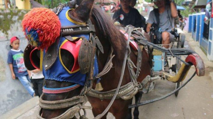 ILUSTRASI DELMAN - Kisah wisatawan asal Tangerang, Kumalasari (34) yang mengaku digetok harga kusir delman Rp600 ribu, viral di media sosial. Foto delman sebagai alat transportasi yang masih dilestarikan di Kecamatan Cigugur, Kuningan, Jawa Barat.
