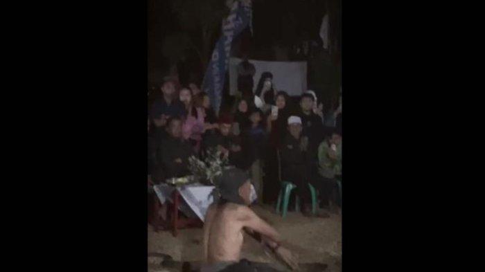 Video pawang ular di Sumedang, Jawa Barat, saat digigit king kobra ketika beratraksi (TikTok)