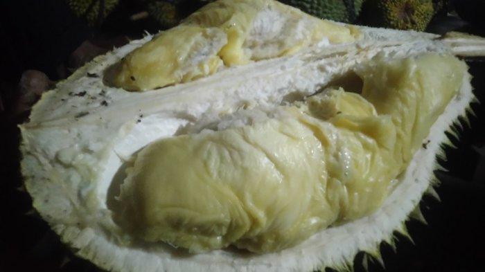 Durian lokal Menawan Kudus.