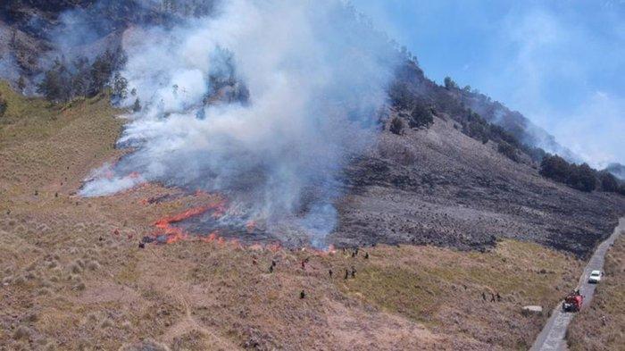 Kondisi kebakaran hutan dan lahan (karhutla) yang melanda Taman Nasional Bromo Tengger Semeru (TNBTS) semakin meresahkan.