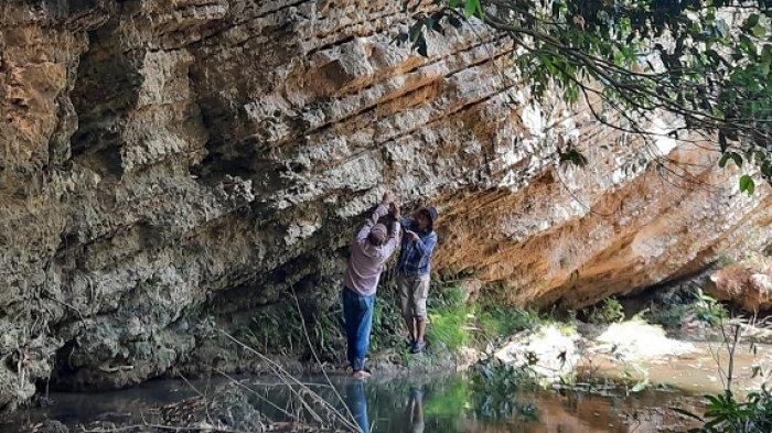 Melihat kawasan lapisan batu pasir gampingan dengan sisipan batu gamping pasiran Kalinanas, Kecamatan Japah, Blora