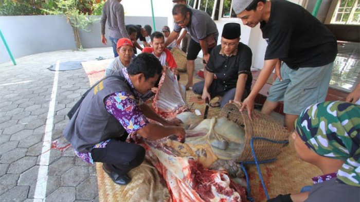 Lembaga Dakwah Islam Indonesia (LDII) Kota Semarang kurban 271 sapi di hari Raya Idul Adha tahun 2018.