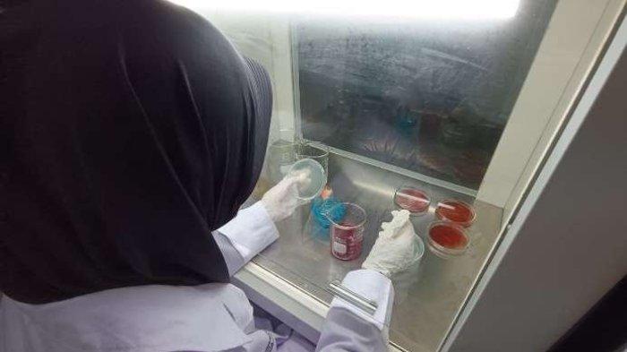 Lolos Pendanan Riset Pkm-Re: Mahasiswa Unsoed Eksplorasi Bakteri Pendegradasi Selulosa Untuk Atasi Permasalahan Limbah Jagung