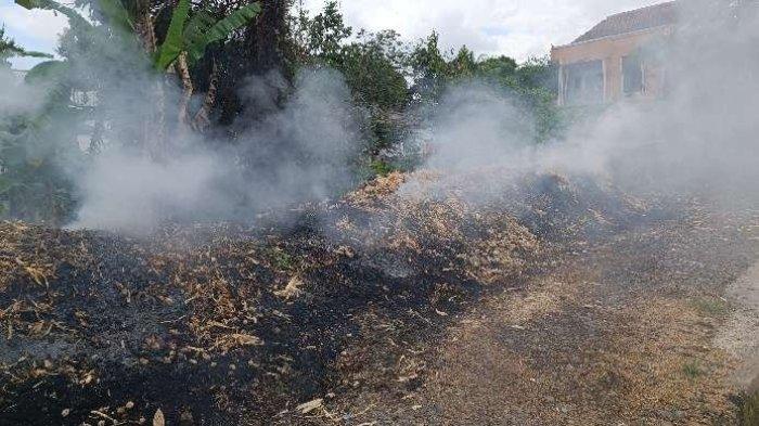 Lolos Pendanan Riset Pkm-Re: Mahasiswa Unsoed Eksplorasi Bakteri Pendegradasi Selulosa Untuk Atasi Permasalahan Limbah Jagung