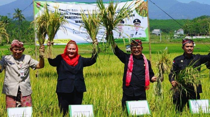 Menteri Pertanian Syahrul Yasin Limpo bersama Wali Kota Semarang Hevearita Gunaryanti Rahayu panen dan tanam padi di Kelurahan Tambangan, Kecamatan Mijen, Kota Semarang, Kamis (27/7/2023).