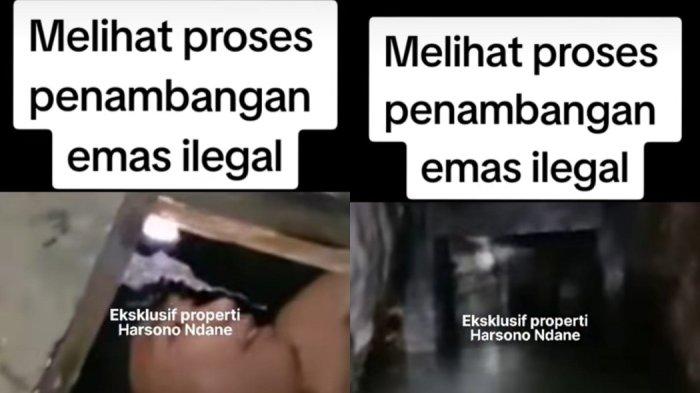 tambang emas ilegal tiktok