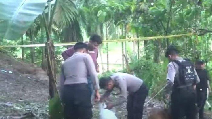 Polisi melakukan penyelidikan di tempat ditemukannya jasad Nia Kurnia Sari (18), gadis penjual gorengan di Kayu Tanam, Kabupaten Padang Pariaman, Sumatera Barat, pada Minggu (8/9/2024). (Tangkapan layar YouTube Kompas TV)