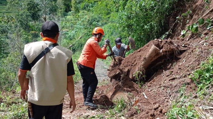 EVAKUASI - Anggota BPBD Kabupaten Semarang mengevakuasi pohon yang tumbang akibat angin kencang dan hujan lebat di Desa Sepakung (lereng Gunung Telomoyo), Kecamatan Banyubiru, Kabupaten Semarang, Sabtu (20/1/2024). Selain pohon tumbang, puluhan rumah juga rusak akibat kejadian tersebut. (Dok BPBD Kabupaten Semarang/istimewa)