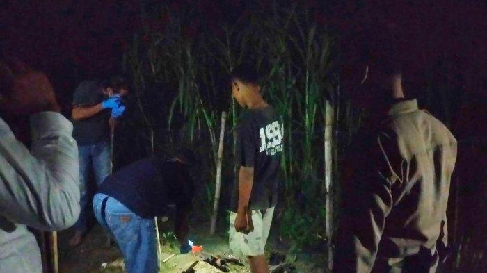 NN, siswi SMP berusia 14 tahun tewas tersetrum listrik jebakan tikus di persawahan Desa Tanjungsari, Kecamatan Kradenan, Kabupaten Grobogan, Jawa Tengah, Selasa (5/11/2024) malam. (DOKUMEN POLRES GROBOGAN)
