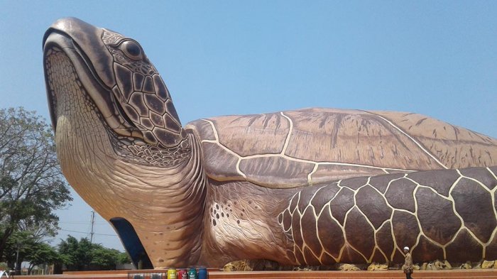 .Wahana kura-kura di Pantai Kartini Kabupaten Jepara, Jateng