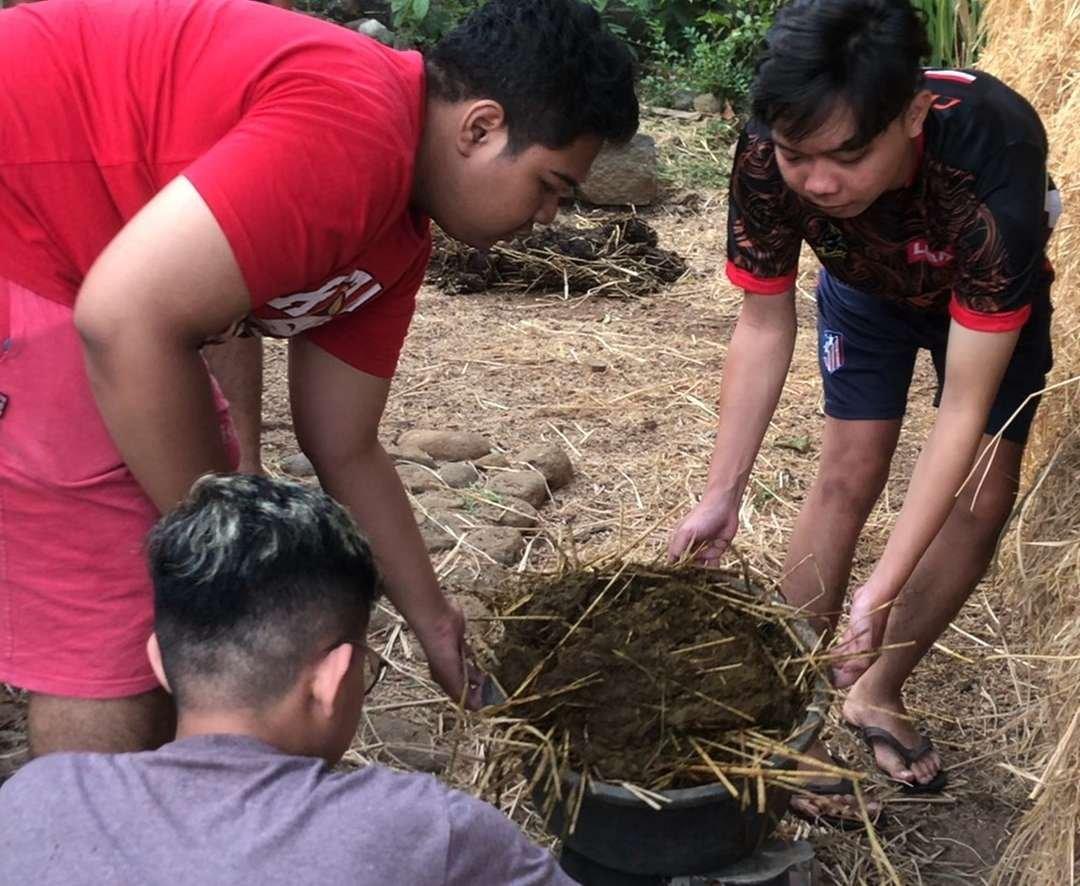 Penimbangan sampel kotoran ternak sapi akumulasi selama 24 jam