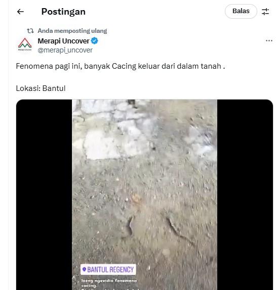 CACING : Tangkapan layar dari X @merapi_uncover pada Minggu (4/5/2025) - Ratusan cacing keluar dari tanah di Bantul, DIY